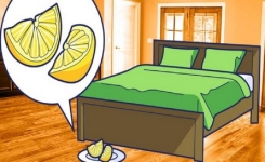 Ajoutez du sel à un citron et placez le près de votre lit, les résultats sont incroyables !