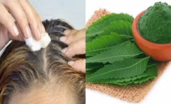 Adieu Cheveux Blancs : Découvrez une Recette Naturelle pour Préserver la Beauté de Vos Cheveux