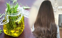 La recette de l'huile de romarin maison pour stimuler la croissance des cheveux 