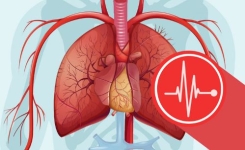 Crise cardiaque : 6 Signaux d’alerte que votre corps vous envoie avant une période!