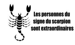 Pourquoi est-ce que vous aurez besoin d’un Scorpion dans votre vie