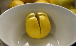 Couper quelques citrons et placer les dans votre chambre - La raison est géniale