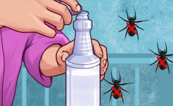 9 répulsifs pour garder les araignées au loin