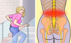 5 Choses qui peuvent causer des douleurs dans le bas du dos et comment les éviter