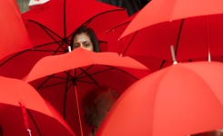 Pourquoi Les Parapluies Ont Un Bout Pointu + 19 Fonctions Cachées Que La Plupart Des Gens Ignorent