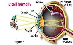 4 Habitudes dangereuses pour les yeux et la vue mais que vous faites tous les jours