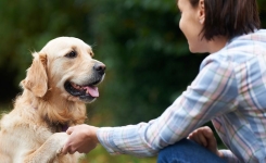 Est-il normal de parler à son animal de compagnie ?