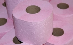 Le papier toilette est dangereux pour votre santé 