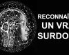 Les 20 caractéristiques des adultes surdoués