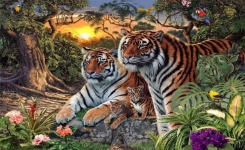 Combien de tigres voyez-vous sur cette image? Ce jeu fait le tour de la toile !