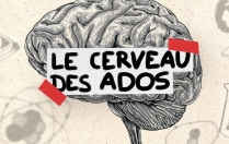 Jusqu’à quel âge le cerveau de l’adolescent est-il en construction ?