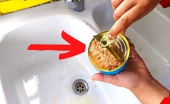 Il faut arrêter de jeter de l’huile de boîte de thon dans l’évier