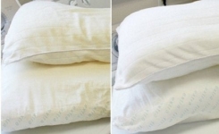 4 remèdes maison pour blanchir les oreillers jaunis et les assainir sans trop dépenser