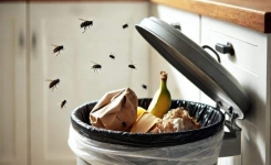 Comment utiliser les épices pour une maison sans mouches ?