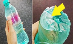 Des révélations importantes qu’on ne vous raconte pas à propos des bouteilles d’eau !