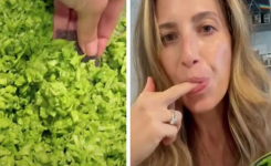 Une simple salade est devenue une star sur TikTok