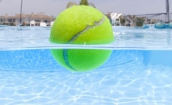 Il Met Une Balle De Tennis Dans L’Eau De Sa Piscine… Sa Raison Est Très Étonnante !