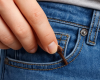 Pourquoi mettre un clou de girofle dans sa poche ?