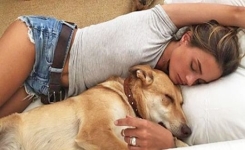 Dormir aux côtés d'un chien serait plus bénéfique qu'avec un être humain