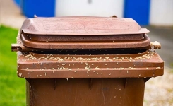 Comment se débarrasser facilement les asticots de votre poubelle d’extérieur ? 4 astuces qui fonctionnent