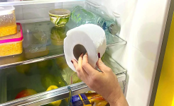 Que se passe-t-il lorsque vous mettez un rouleau de papier toilette dans le réfrigérateur ?