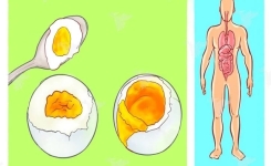 Savez-vous ce qui se passe lorsque vous mangez 3 œufs chaque jour? Vous serez surpris de leur effet sur votre corps