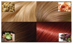 Voici comment colorer vos cheveux naturellement, sans produits chimiques