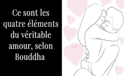 Selon Bouddha, ce sont les 4 éléments qui composent le véritable amour