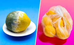 L’astuce pour conserver les citrons 3 mois et plus et éviter qu’ils ne pourrissent