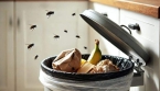 Comment utiliser les épices pour une maison sans mouches ?