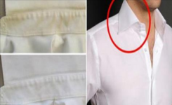 Si vos chemises blanches ont jauni, ne les jetez pas ! Voici une astuce pour les faire blanchir…