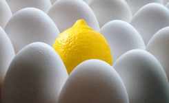 La « recette » œuf-citron : contre l'ostéoporose