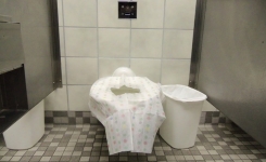 Ne placez plus du papier sur les cuvettes des toilettes publiques, voici la raison !