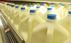 Pourquoi de nombreux produits laitiers sont si mauvais pour la santé … Vous aurez du mal à le Croire !!