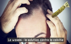 Le wasabi, nouveau remède efficace contre la calvitie ?