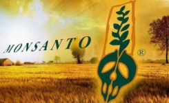Vous Souhaitez Éviter les Produits Monsanto ? Voici La Liste des Marques à Connaître