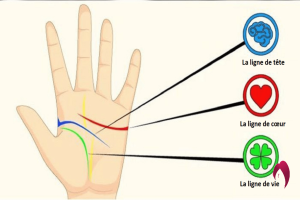 Apprenez à lire les lignes de vie de votre propre main